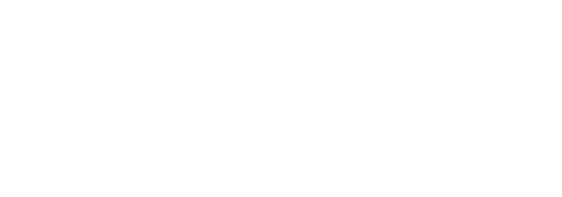 Zumax